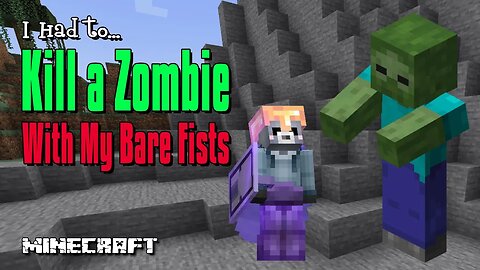 I Had to Kill a Zombie With My Bare Fists #minecraft