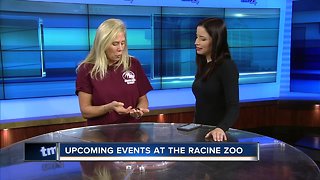 Animal Amore at Racine Zoo