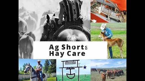 Hay Care - Ag Shorts