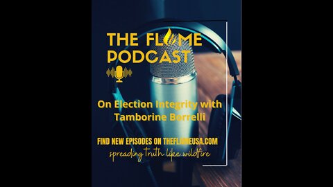 Election Integrity With Tamborine Borrelli