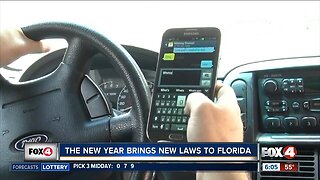 New year brings new laws in Florida