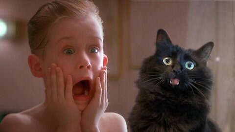 Home Alone with My Cat (Parody)