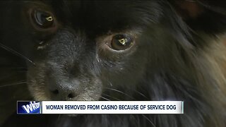 Woman says she was removed from casino because of her service dog