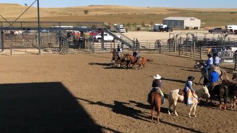 Bull Dogging at Rodeo