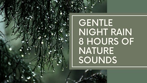 GENTLE NIGHT RAIN 8 HRS OF RAIN SOUNDS TO RELAX & SLEEP No Music