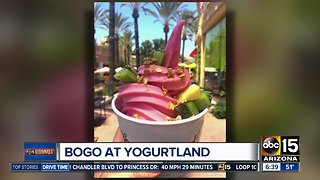 National Frozen Yogurt Day deals, freebies