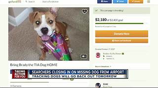 Searchers closing in on missing dog from airport