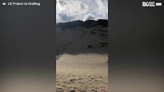 Guy makes flying leap off sandboard into sea after sliding down dune