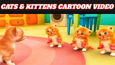 Cats and Kittens cartoon Video 🐈🐱 New Cartoon videos 2024🐱🐈