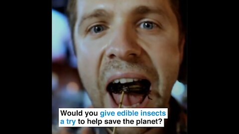 Another World Economic Forum Video Promoting Bug Eating