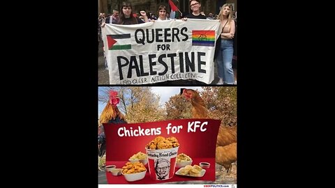 Queers for Palestine? WTF? Stay out of it.