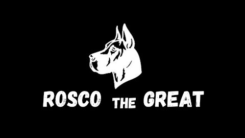 Great Dane (Rosco)