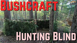 Building a Bushcraft Ground Blind for Hunting or Nature Watching