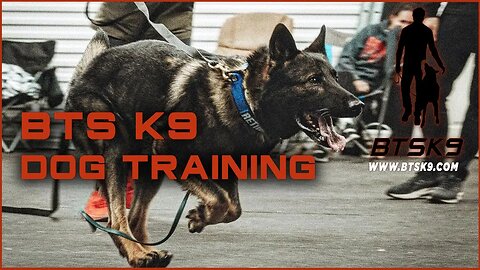 BTS K9 Dog Training