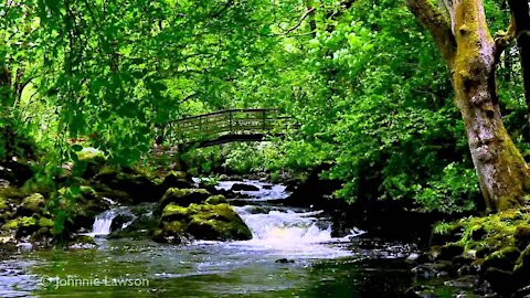 Nature Music To Relaxing🎵Theraphy, Healing, Mediatation, Anxiety, Stress Relief