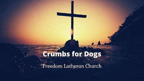 "Crumbs for Dogs" August 20, 2023
