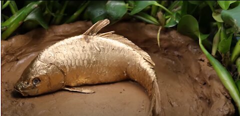 Stop Motion ASMR - Fish , Eel Cooking Original Underground Mud IRL Recipe 4K Unusual Funny Videos