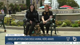 Handler up for San Diego Animal Hero Award