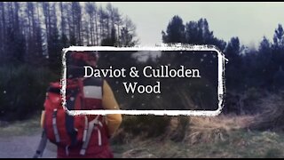 Daviot & Culloden mystery wood