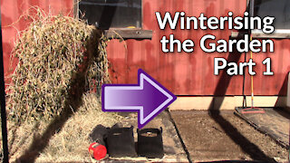 Winterising the Garden: Part 1