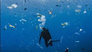 Diver swims in a sea of garbage