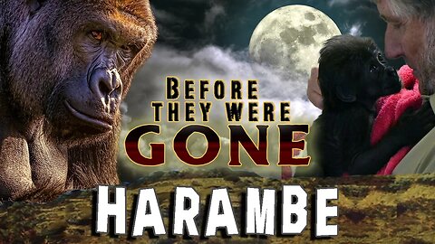 HARAMBE - Before They Were GONE
