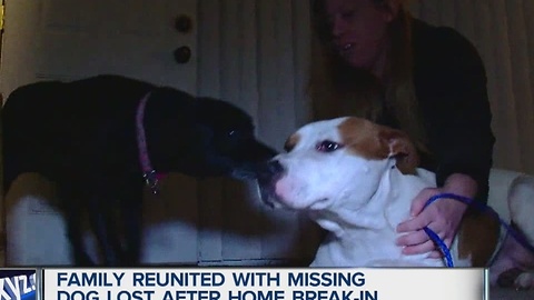 Family reunited with dog missing after break in