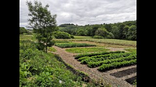 West Bovey Permaculture - Project Update 21st June 2022