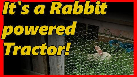 How to build a rabbit tractor. My diy rabbit tractor build