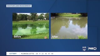 Combating algae in Southwest Florida