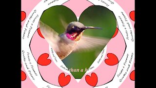 Your love is more beautiful than a hummingbird [Quotes and Poems]