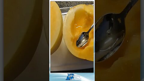 Cantaloupe Cream Melon