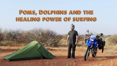 Poms, Dolphins and the healing power of Surfing - mototrip pt 17