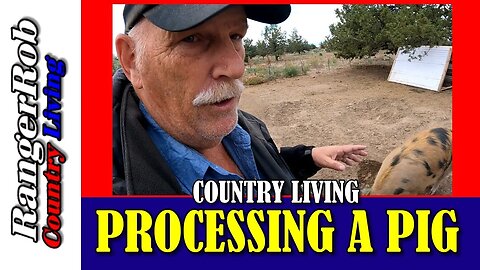 Processing A Pig & Being Prepared On The Homestead