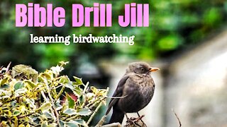 BIRD WATCHING | Bible Drill Jill Short