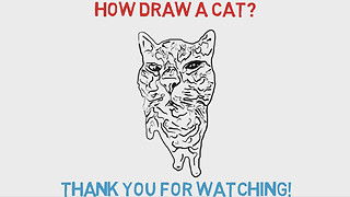 How Draw A Cat