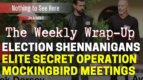 Nothing to See Here - Ep# 6 - Election Shenanigans and Elite Secret Operation Mockingbird Meetings