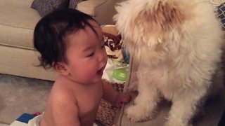 A Baby And A Dog Have An Interesting Conversation