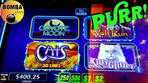 BOMBA THE CAT WHISPERER?!! 🐱 #lasvegas #slotmachine #casino