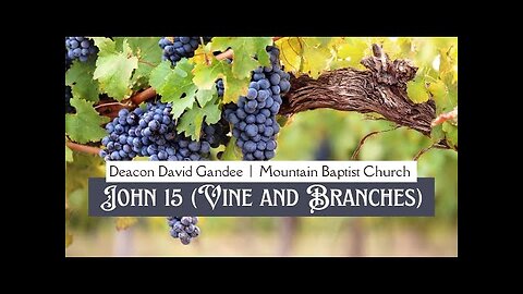 John 15 (Vine and Branches) Deacon David Gandee