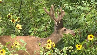 MK Nature Center