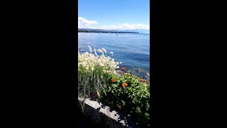 A walk in morges city in Switzerland