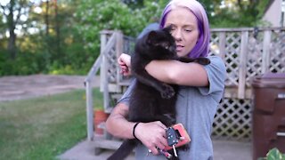 Williamston Cat lady Sara Brockmiller is asking for help from community members to foster cats