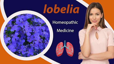 Lobelia Benefits