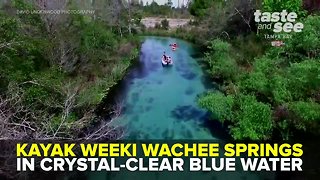 Weeki Wachee Springs: Kayaking Crystal-Clear Blue Water | Taste and See Tampa Bay