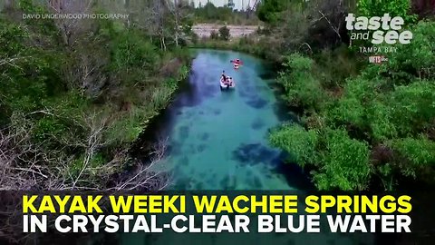 Weeki Wachee Springs: Kayaking Crystal-Clear Blue Water | Taste and See Tampa Bay