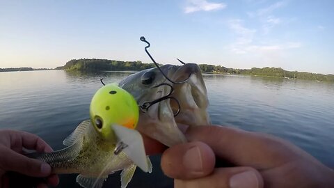 Catching BASS and other LURES?!-Bass Fishing 2017