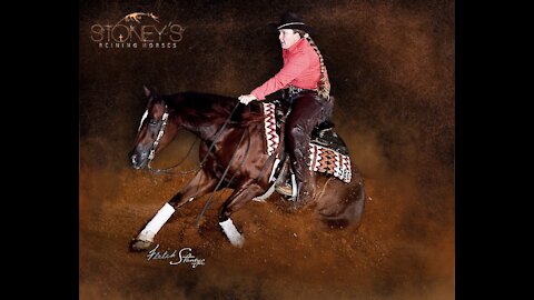 Sparkville shown by Amy Stoney 2020 NRBC SmartPak Non Pro Futurity