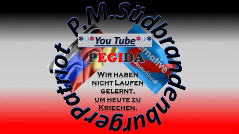 Scholz Regierung Gesinnung wichtiger als Qualifikation! 7 Tage Deutschland AfD WE Podcast 06 2