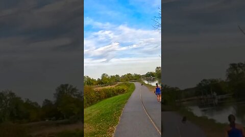 Heron on the Erie Canal Trail by a pond #bikelife #roadbike #eriecanal #bikecommuting